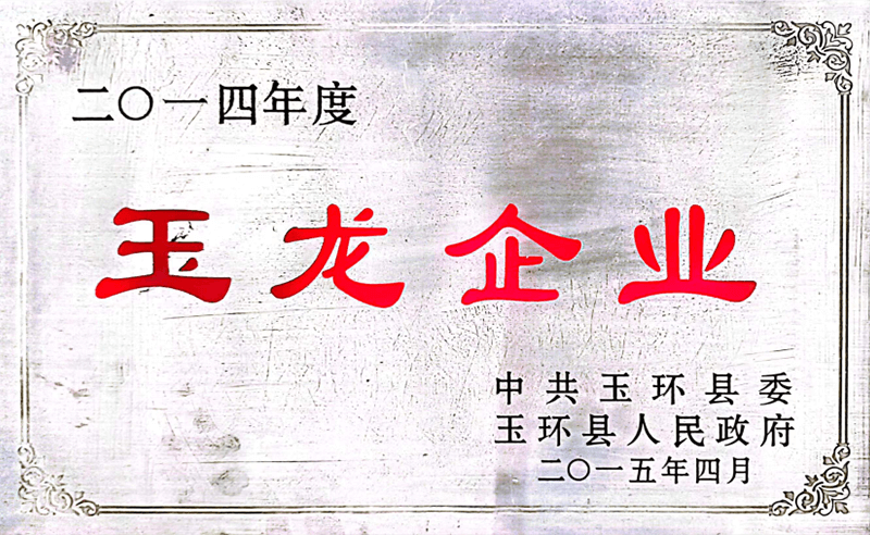 2014年度玉龍企業(yè)
